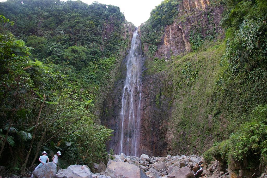 סן-פרנסואה Kaz Creole Aventure Tropicale Insolite, Fibre, Jardin Et Jacuzzi Prives מראה חיצוני תמונה