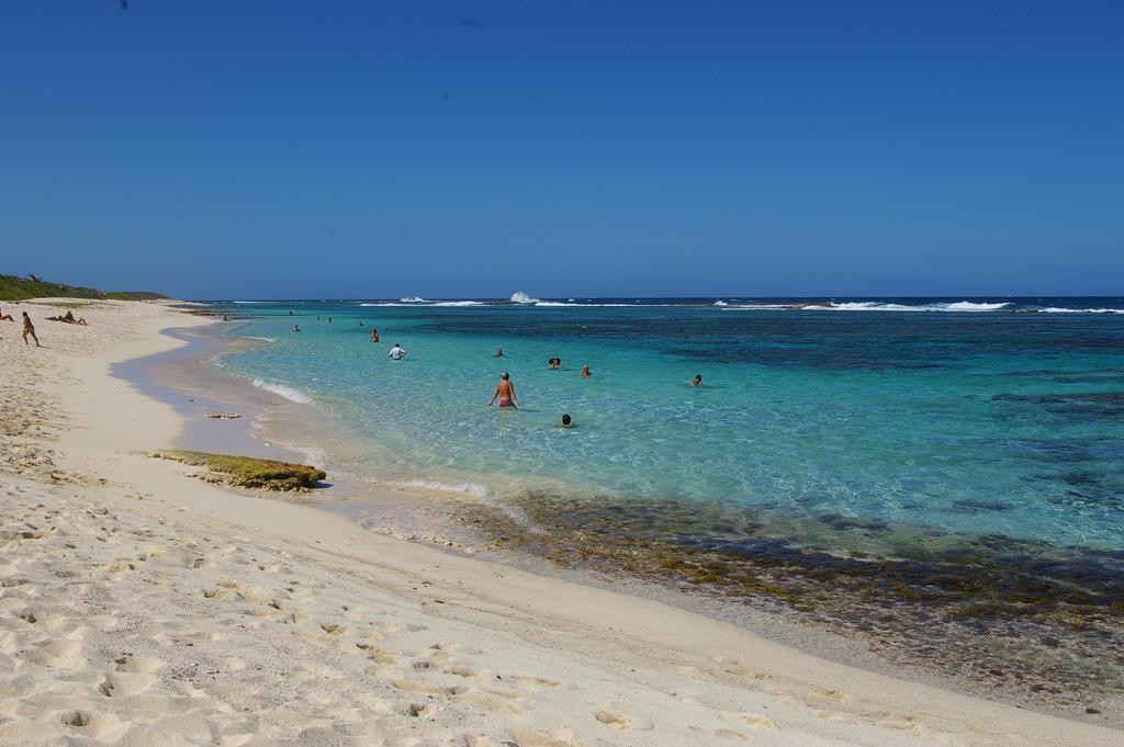 סן-פרנסואה Kaz Creole Aventure Tropicale Insolite, Fibre, Jardin Et Jacuzzi Prives מראה חיצוני תמונה