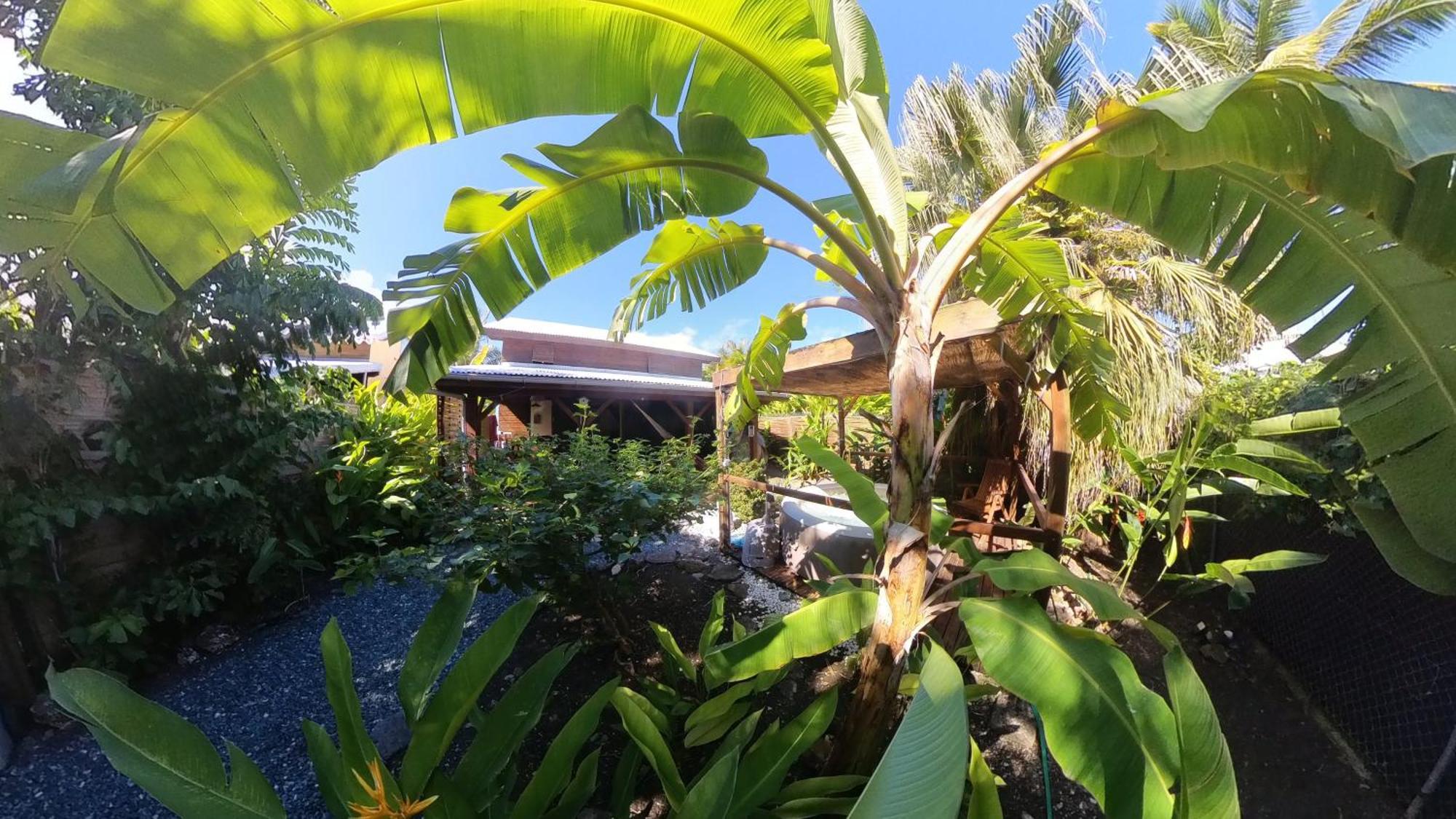סן-פרנסואה Kaz Creole Aventure Tropicale Insolite, Fibre, Jardin Et Jacuzzi Prives מראה חיצוני תמונה